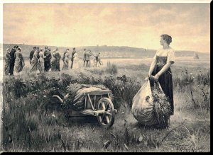 A picture depicting a woman standing in a field looking at others standing in the field awaiting Jesus' return